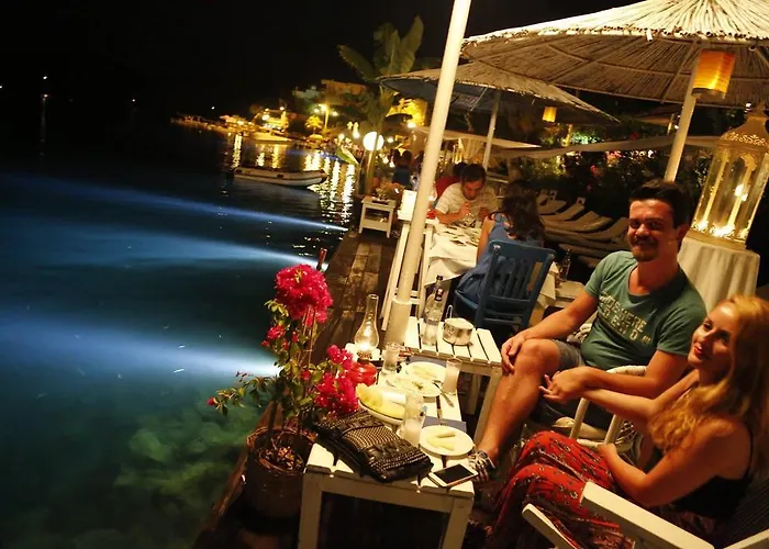 酒店 博兹布伦佩比尤努斯酒店 博兹布伦