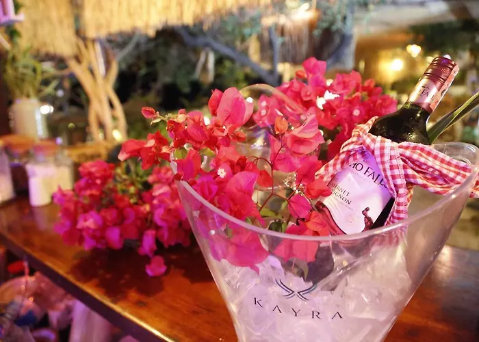 博兹布伦佩比尤努斯酒店 *