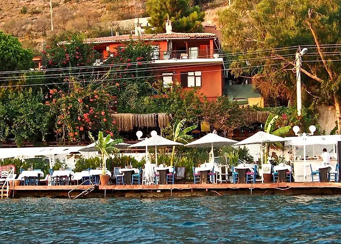 Pembe Yunus * Bozburun