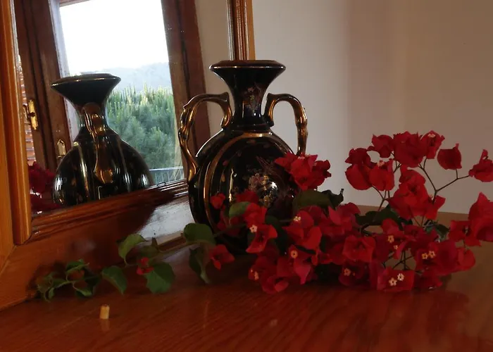 Ξενοδοχείο Pembe Yunus Bozburun